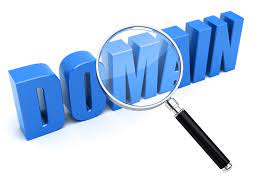 domain search