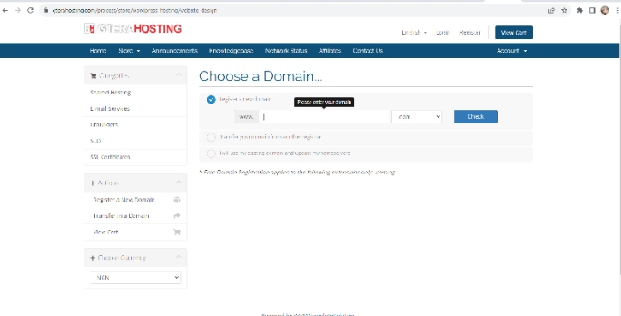 choose your domain nam selection
