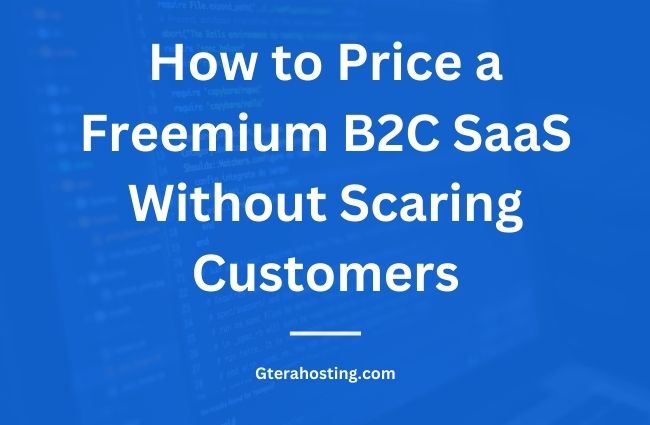 How to Price a Freemium B2C SaaS